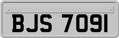 BJS7091