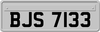 BJS7133