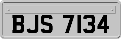BJS7134