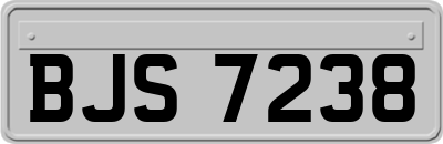 BJS7238