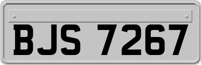 BJS7267