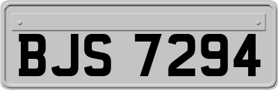 BJS7294