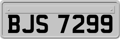 BJS7299