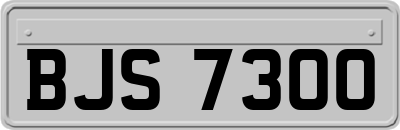 BJS7300