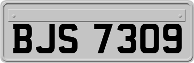 BJS7309