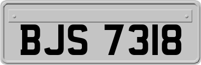 BJS7318