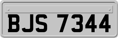 BJS7344