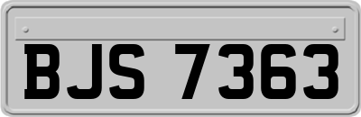 BJS7363