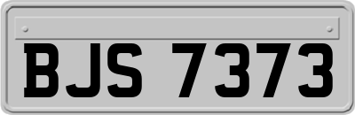 BJS7373