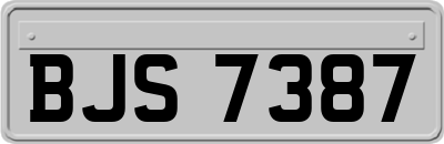 BJS7387