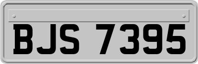 BJS7395