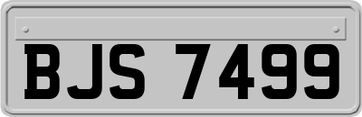 BJS7499