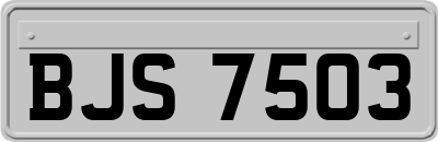 BJS7503