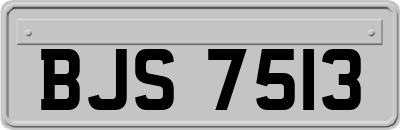 BJS7513