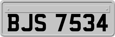 BJS7534