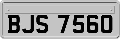 BJS7560