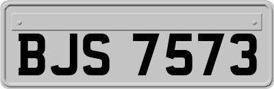 BJS7573