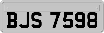 BJS7598