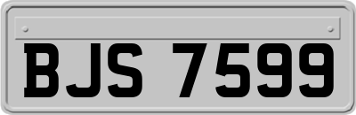BJS7599