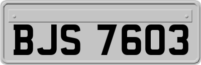 BJS7603