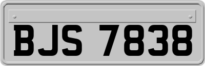 BJS7838