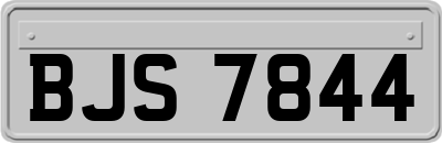 BJS7844