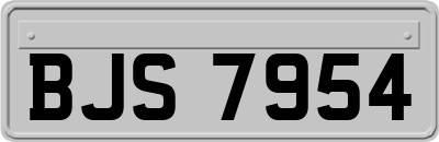 BJS7954