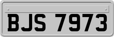 BJS7973
