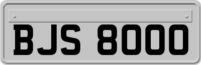 BJS8000