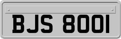 BJS8001