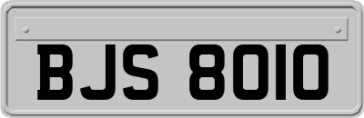 BJS8010