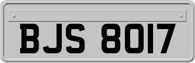 BJS8017