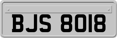 BJS8018