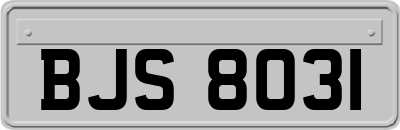 BJS8031