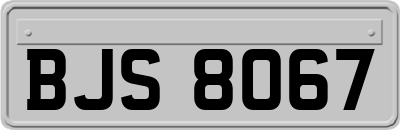 BJS8067