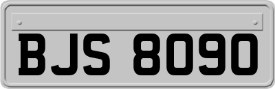 BJS8090