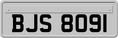 BJS8091