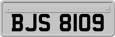 BJS8109