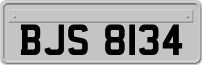 BJS8134
