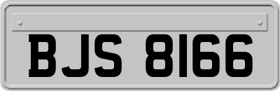 BJS8166