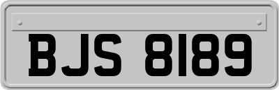 BJS8189