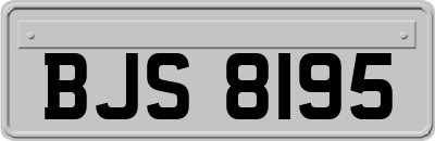 BJS8195