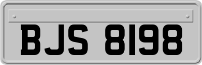 BJS8198