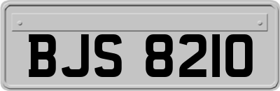BJS8210