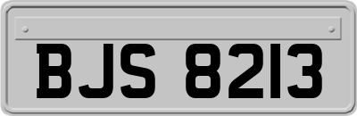 BJS8213