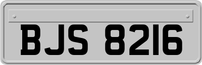 BJS8216