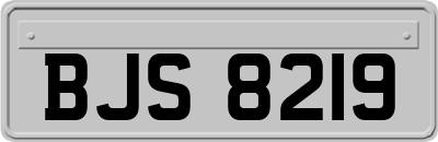 BJS8219
