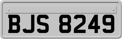 BJS8249