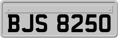 BJS8250