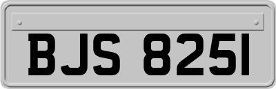 BJS8251
